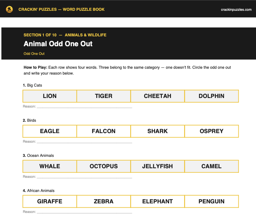 Odd one out sample